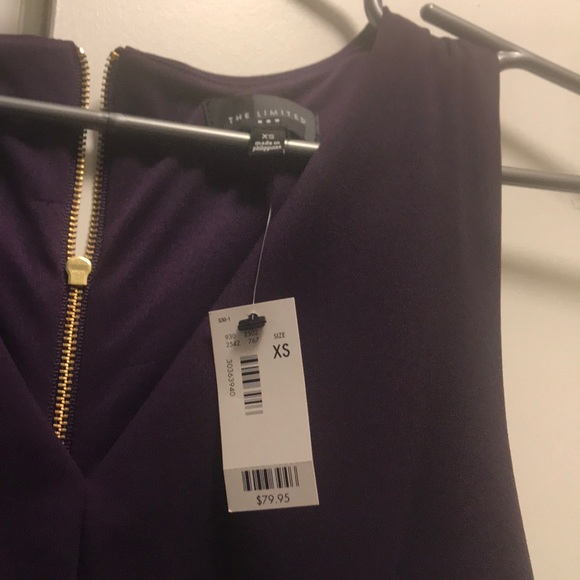The Limited Purple Dress - Picture 3 of 5